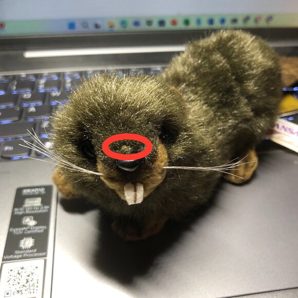 Hansa Handcrafted Beaver Stuffed Animal Brand New w/ Tag # 3839 - Picture 13 of 16